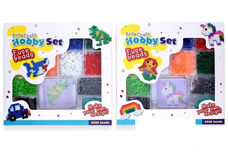 Rankdarbių rinkinys Activity Set, 2500 vnt kaina ir informacija | Lavinamieji žaislai | pigu.lt