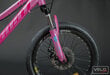 Vaikiškas dviratis, Gust Frizzy 20cll, rožinis kaina ir informacija | Dviračiai | pigu.lt