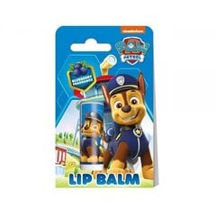 Бальзам для губ Air-Val Paw Patrol Черника 4,4г цена и информация | Помады, бальзамы, блеск для губ | pigu.lt