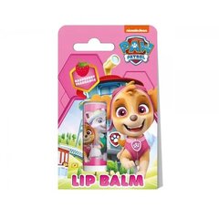 Lūpų balzamas Paw Patrol Chase, 4,4 g kaina ir informacija | Lūpų dažai, blizgiai, balzamai, vazelinai | pigu.lt