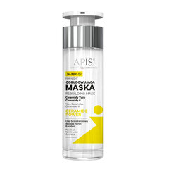 Naktinė veido kaukė Apis Rebuilding Mask For Night, 50 ml kaina ir informacija | Veido kaukės, paakių kaukės | pigu.lt