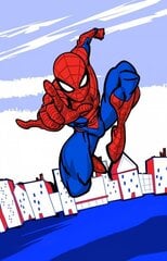 Vaikiškas rankšluostis Spiderman 30 x 50 cm kaina ir informacija | Rankšluosčiai | pigu.lt