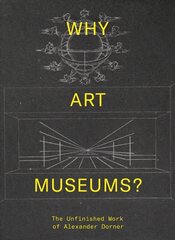 Why art museums? kaina ir informacija | Enciklopedijos ir žinynai | pigu.lt