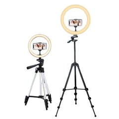 Žiedinė lempa Tripod LED 26cm kaina ir informacija | Fotografijos apšvietimo įranga | pigu.lt