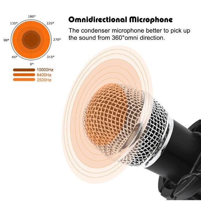 Universal Microphone kaina ir informacija | Mikrofonai | pigu.lt