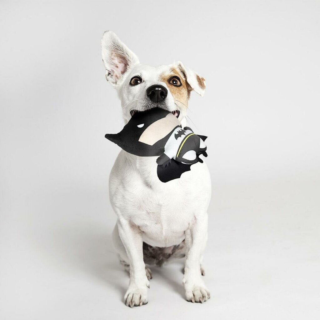 Batman šuns žaislas, juodas kaina ir informacija | Žaislai šunims | pigu.lt