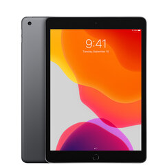 iPad 7 10.2" 32GB WiFi Space Gray (atnaujintas, būklė A) kaina ir informacija | Planšetiniai kompiuteriai | pigu.lt