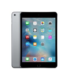 Планшет iPad Mini 4 7.9" 16GB WiFi Space Gray (обновленный, состояние A) цена и информация | Планшеты | pigu.lt