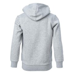 Hooded full zip sweatshirt champion legacy for children's grey 306170em006 306170EM006 цена и информация | Свитеры, жилетки, пиджаки для мальчиков | pigu.lt