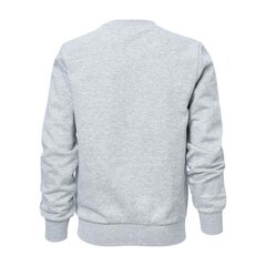 Crewneck sweatshirt champion legacy for children's grey 306172em006 306172EM006 цена и информация | Свитеры, жилетки, пиджаки для мальчиков | pigu.lt