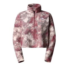 W 100 gl crop 1/4 zp the north face for women's pink nf0a7ss995b NF0A7SS995B цена и информация | Женские толстовки | pigu.lt