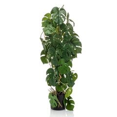 Emerald Dirbtinė monstera vazone, 75cm kaina ir informacija | Dirbtinės gėlės | pigu.lt