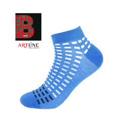 Kojinės vyrams Bisoks 12332, mėlynos kaina ir informacija | Vyriškos kojinės | pigu.lt