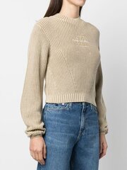 Женский джемпер CALVIN KLEIN JEANS Washed Monologo Travertine 560075349 цена и информация | Женские кофты | pigu.lt