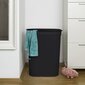 Rotho skalbinių krepšys, 50 l kaina ir informacija | Vonios kambario aksesuarai | pigu.lt