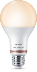 Светодиодная лампочка Philips Wiz A67 smart E27 13 W 1521 Lm (6500 K) цена и информация | Электрические лампы | pigu.lt