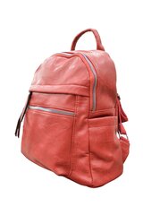 Женский рюкзак, красный цена и информация | Женские сумки | pigu.lt