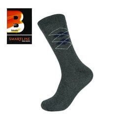 Мужские классические носки Bisoks 12162 серые цена и информация | Мужские носки | pigu.lt