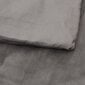 Sunki antklodė, 200x225cm цена и информация | Antklodės | pigu.lt