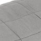 VidaXL sunki antklodė, 152x203 cm цена и информация | Antklodės | pigu.lt