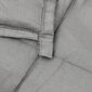 VidaXL sunki antklodė, 200x200cm kaina ir informacija | Antklodės | pigu.lt