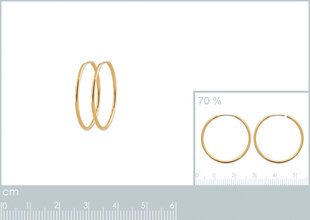 Серьги с золотым покрытием 750°, ↕25mm,  произведено во Франции цена и информация | Серьги | pigu.lt