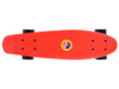 Riedlentė Fishboard, 55 cm kaina ir informacija | Riedlentės | pigu.lt