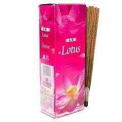 Smilkalų lazdelės GR Lotus, 20g kaina ir informacija | Namų kvapai | pigu.lt