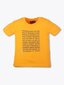 Marškinėliai berniukams Brums 520087818, 2 vnt kaina ir informacija | Marškinėliai berniukams | pigu.lt