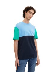 Marškinėliai vyrams Tom Tailor, mėlyna kaina ir informacija | Vyriški marškinėliai | pigu.lt