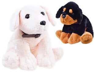 Pliušinis šuniukas, 45cm цена и информация | Мягкие игрушки | pigu.lt
