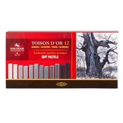 Sausų pastelių rinkinys Koh-I-Noor Toison D'or 8592G, 12vnt цена и информация | Принадлежности для рисования, лепки | pigu.lt