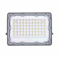 Прожектор Eko-Light Fokus 60W 900lm 6000K цена и информация | Уличные светильники | pigu.lt