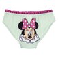 Maudymosi kelnaitės mergaitėms Minnie Mouse S0736001 kaina ir informacija | Maudymukai mergaitėms | pigu.lt