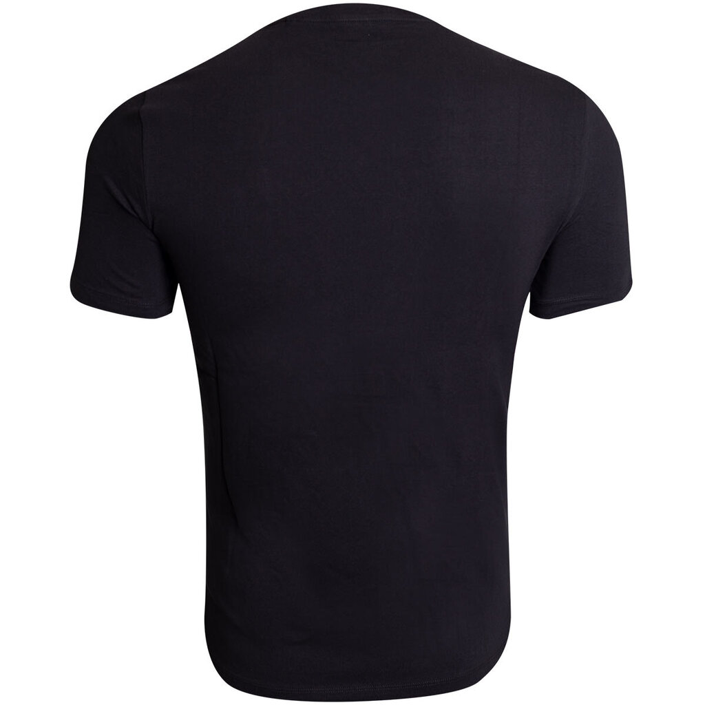 Marškinėliai vyrams Guess цена и информация | Vyriški marškinėliai | pigu.lt