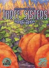 Three Sisters цена и информация | Настольные игры, головоломки | pigu.lt