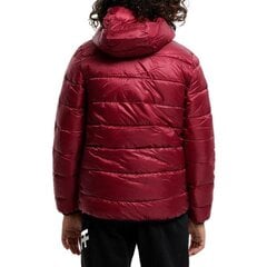 Hooded jacket champion legacy for children's red 306197rs506 306197RS506 цена и информация | Куртка для мальчика | pigu.lt