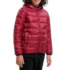 Hooded jacket champion legacy for children's red 306197rs506 306197RS506 цена и информация | Куртки для мальчиков | pigu.lt