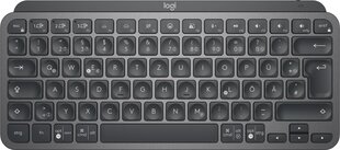 Logitech Mx Keys Mini цена и информация | Клавиатуры | pigu.lt