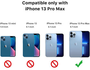 Комплект SoundBerry Crystal Hard Case  Privacy Glass для Apple iPhone 13 Pro Max цена и информация | Чехлы для телефонов | pigu.lt