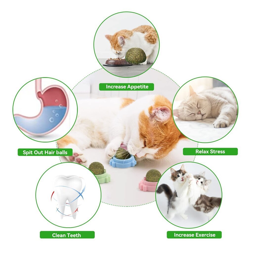 Katžolės rutuliukai katėms prikabinama prie sienos, 3 vnt kaina ir informacija | Žaislai katėms | pigu.lt