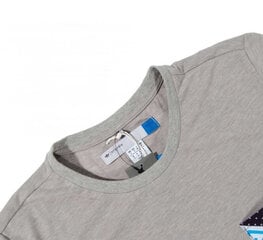 Футболка Adidas Originals Patchwork Tee Z33212/M, серая цена и информация | Футболка мужская | pigu.lt