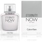Tualetinis vanduo Calvin Klein Eternity Now For Men EDT vyrams 100 ml цена и информация | Kvepalai vyrams | pigu.lt