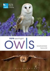 RSPB spotlight owls kaina ir informacija | Knygos apie sveiką gyvenseną ir mitybą | pigu.lt