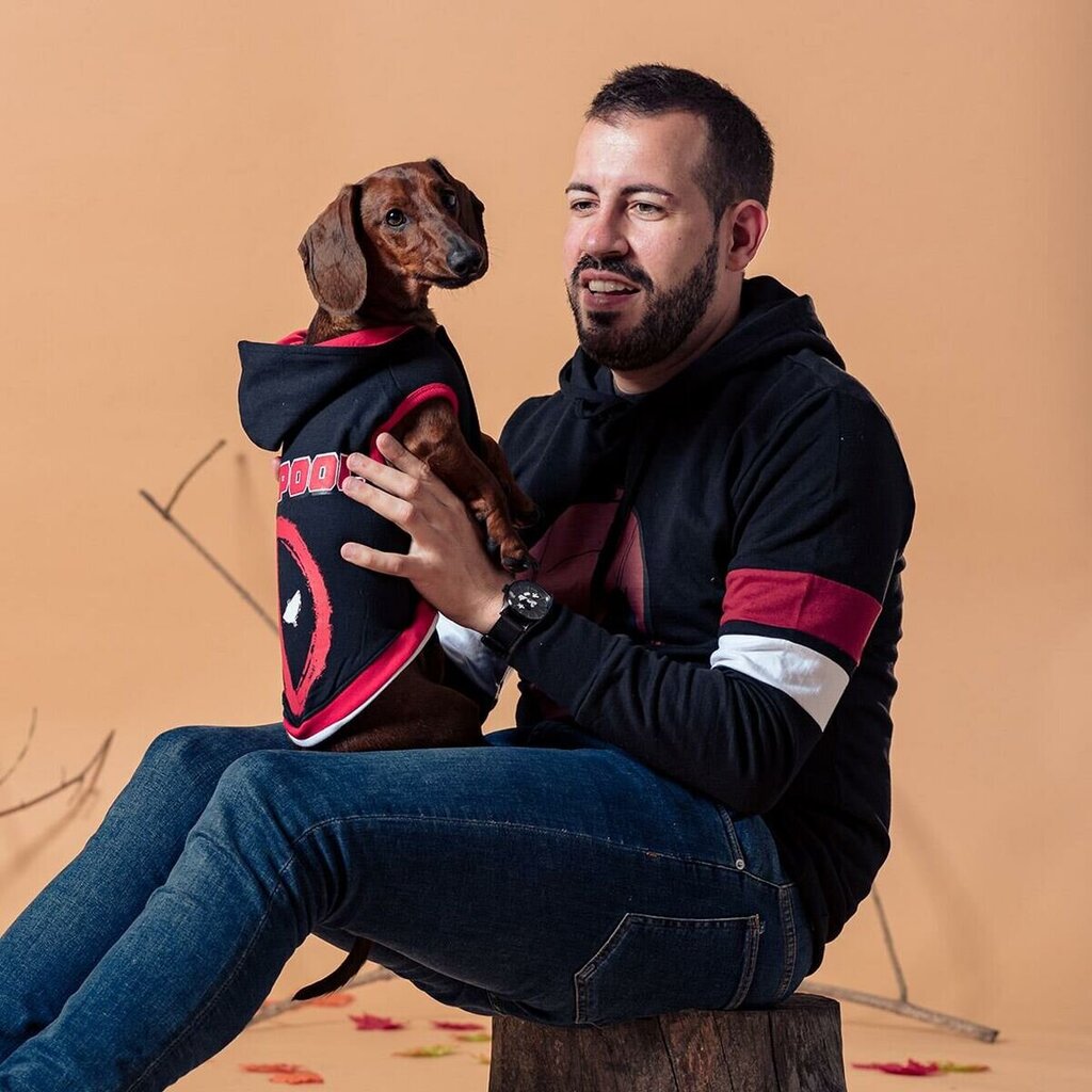 Megztinis šunims Deadpool, įvairių dydžių, juodas kaina ir informacija | Drabužiai šunims | pigu.lt