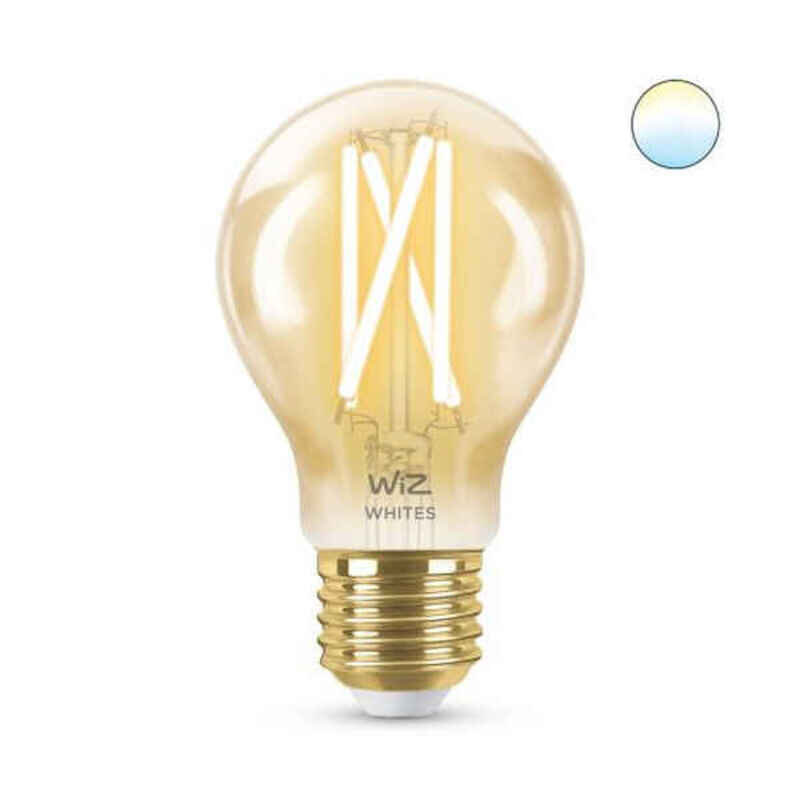Išmani Lemputė Ledkia A60 E27 kaina ir informacija | Elektros lemputės | pigu.lt