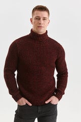 Megztinis vyrams LKK174243.1904, raudonas цена и информация | Мужские свитера | pigu.lt