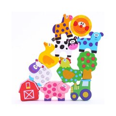 Игрушечные вращающиеся блоки Tooky, 13 шт цена и информация | Развивающие игрушки | pigu.lt