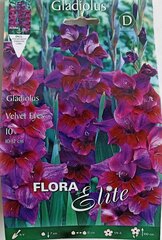 Гладиолус Velvet Eyes, 10 шт. цена и информация | Луковицы цветов | pigu.lt