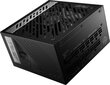 MSI MPG A1000G kaina ir informacija | Maitinimo šaltiniai (PSU) | pigu.lt